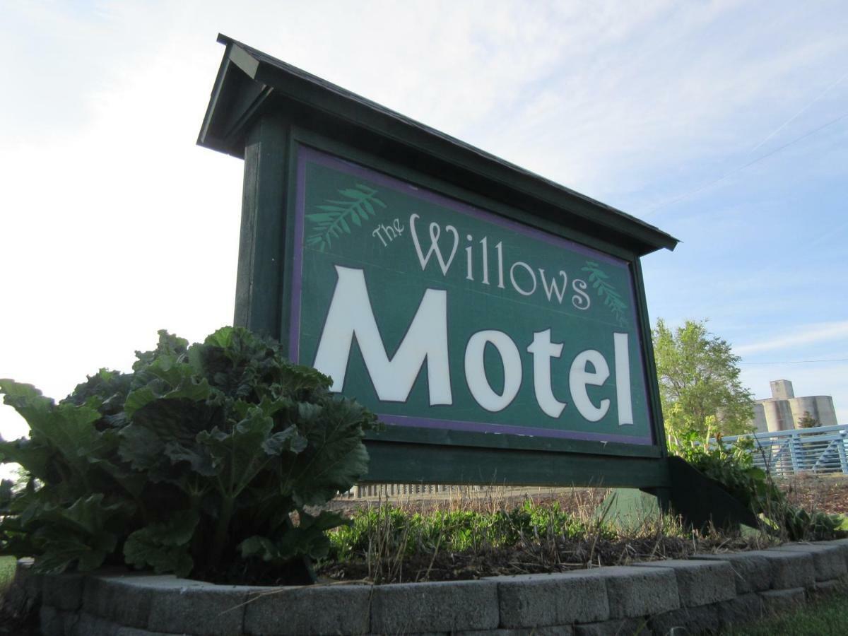 The Willows Motel Wilbur Eksteriør bilde